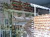  TEXTIMA 4310 - carpet Jacquard Looms, 1982/84,
